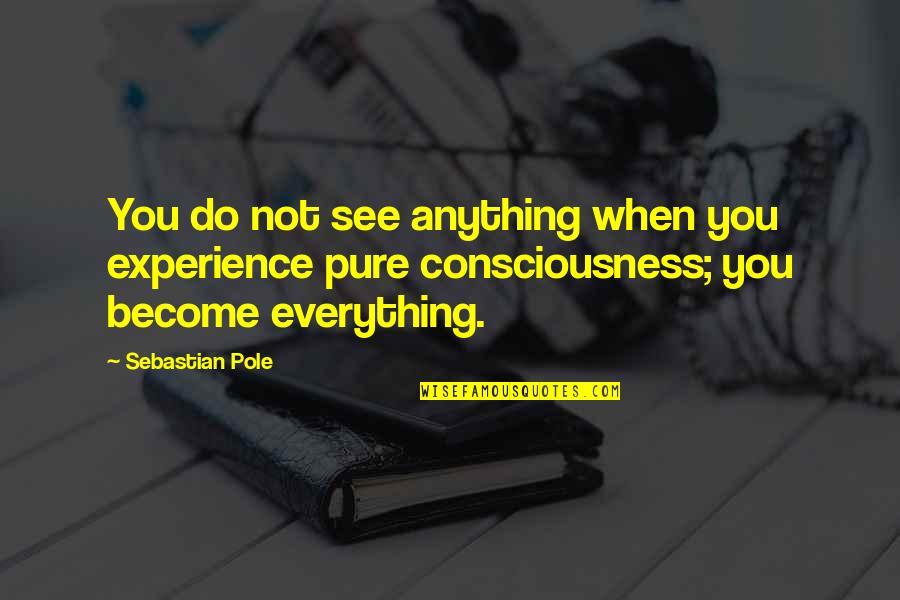 Nanban Love Quotes By Sebastian Pole: You do not see anything when you experience