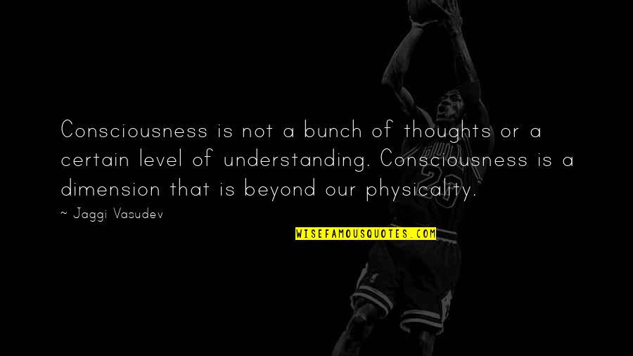 Narusawa Hyoketsu Quotes By Jaggi Vasudev: Consciousness is not a bunch of thoughts or