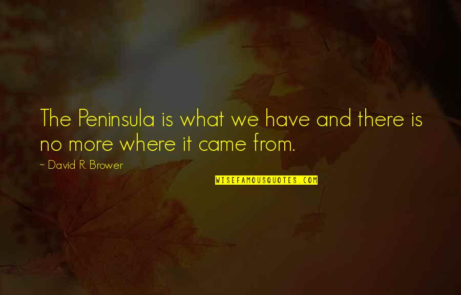 Nasamartleobis Quotes By David R. Brower: The Peninsula is what we have and there