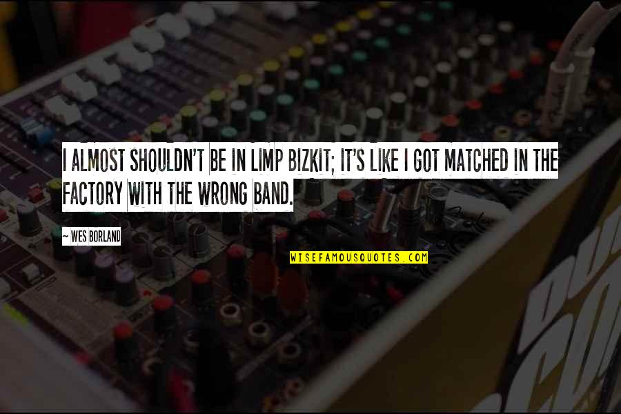 Natatoria Quotes By Wes Borland: I almost shouldn't be in Limp Bizkit; it's