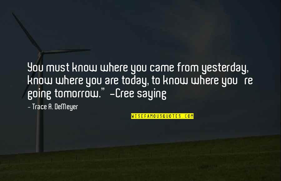 Native American Cree Quotes By Trace A. DeMeyer: You must know where you came from yesterday,