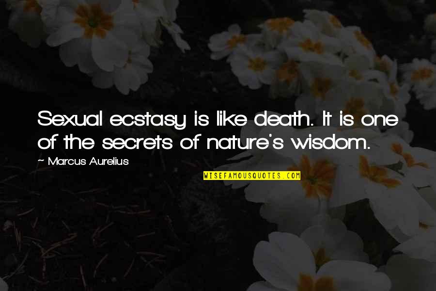 Nature Of Life Quotes By Marcus Aurelius: Sexual ecstasy is like death. It is one