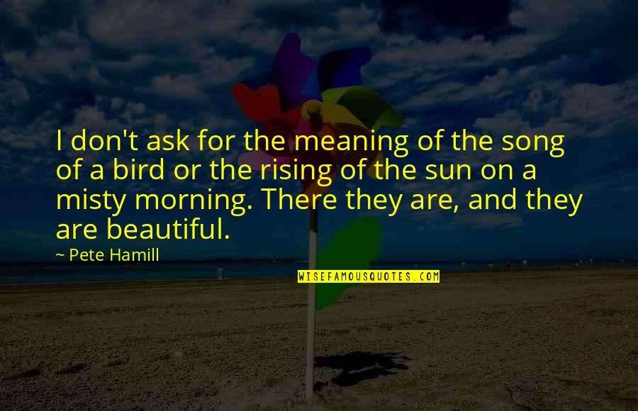 Nature Sun Quotes By Pete Hamill: I don't ask for the meaning of the