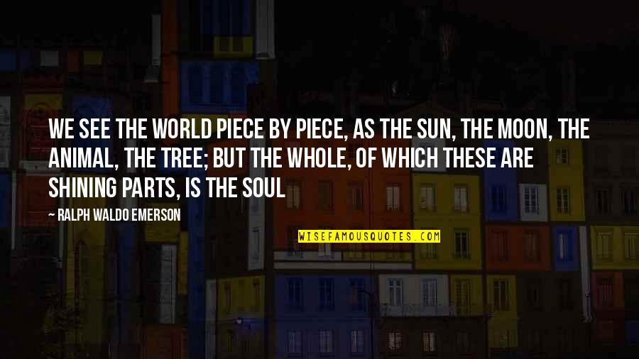 Nature Sun Quotes By Ralph Waldo Emerson: We see the world piece by piece, as