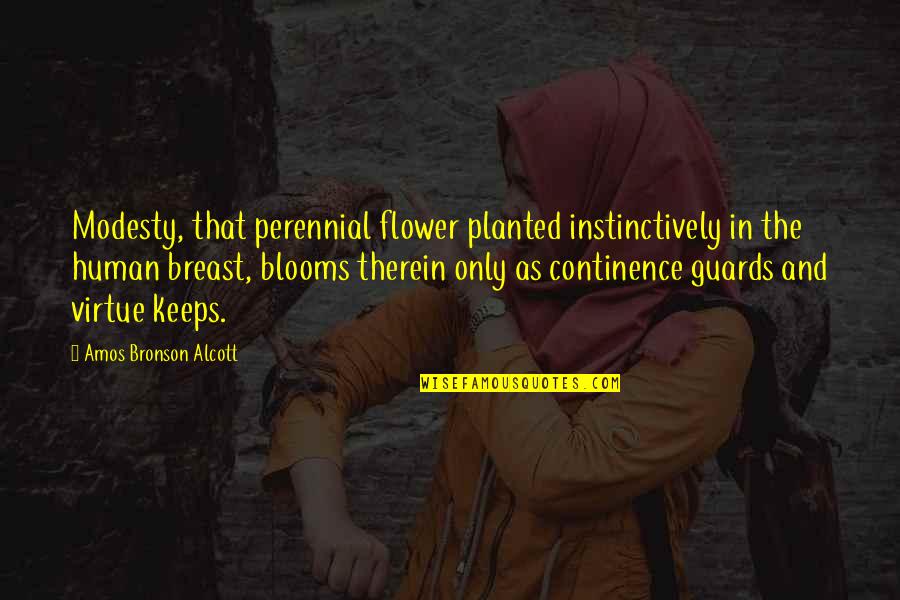 Nature Wallpapers With Inspirational Quotes By Amos Bronson Alcott: Modesty, that perennial flower planted instinctively in the