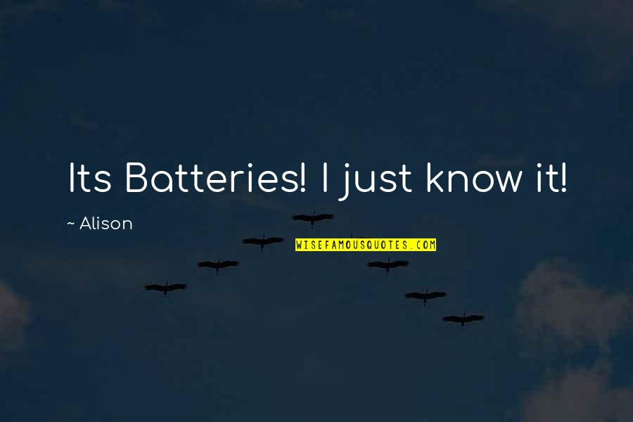 Need That Special Someone Quotes By Alison: Its Batteries! I just know it!