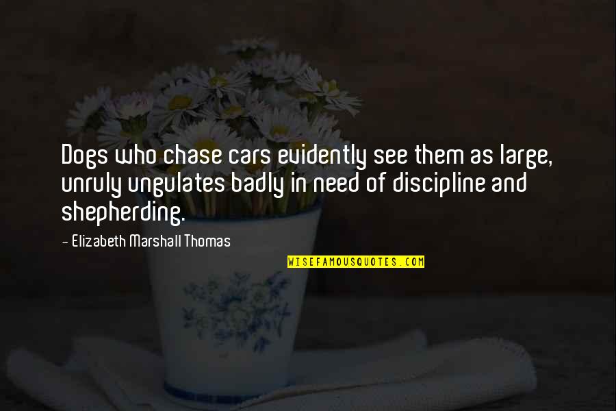 Need You Badly Quotes By Elizabeth Marshall Thomas: Dogs who chase cars evidently see them as