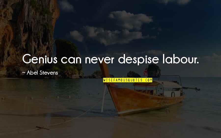 Nehram Quotes By Abel Stevens: Genius can never despise labour.