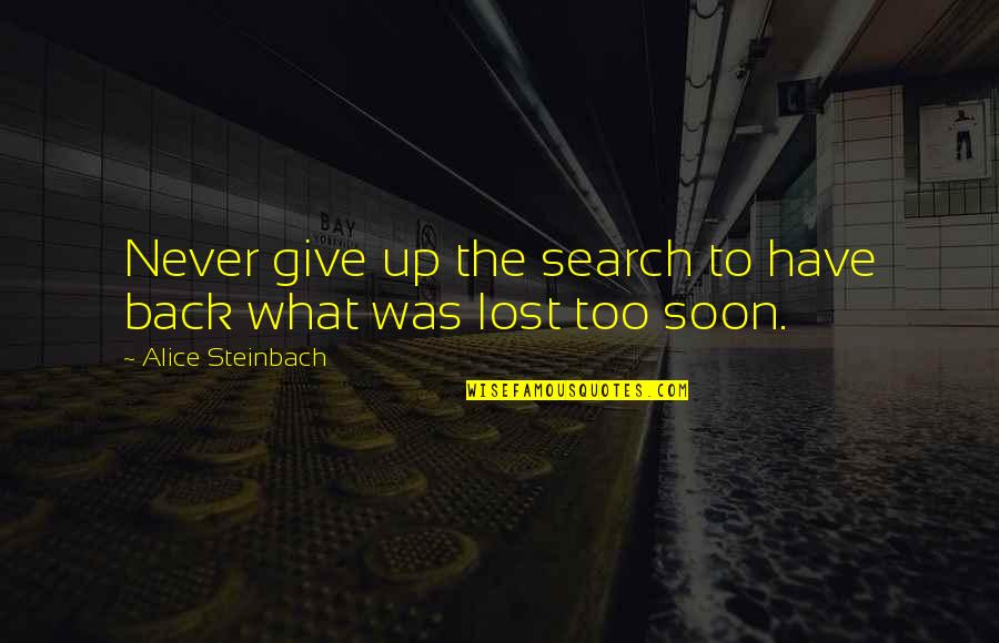 Nepantla Quotes By Alice Steinbach: Never give up the search to have back