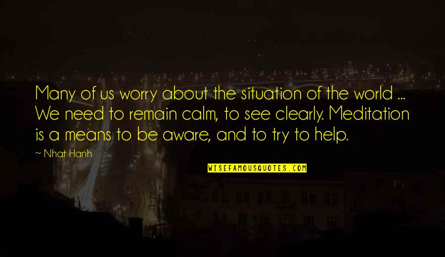 Nerd Talk Quotes By Nhat Hanh: Many of us worry about the situation of