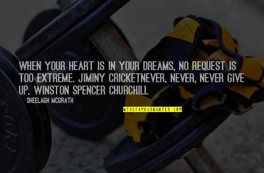 Never Ever Give Up On Your Dreams Quotes By Sheelagh McGrath: When your heart is in your dreams, no