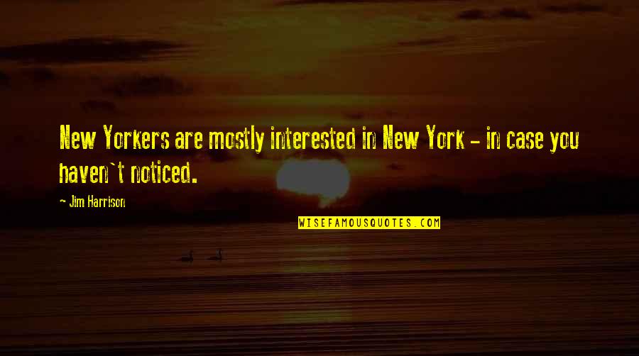 New Haven Quotes By Jim Harrison: New Yorkers are mostly interested in New York