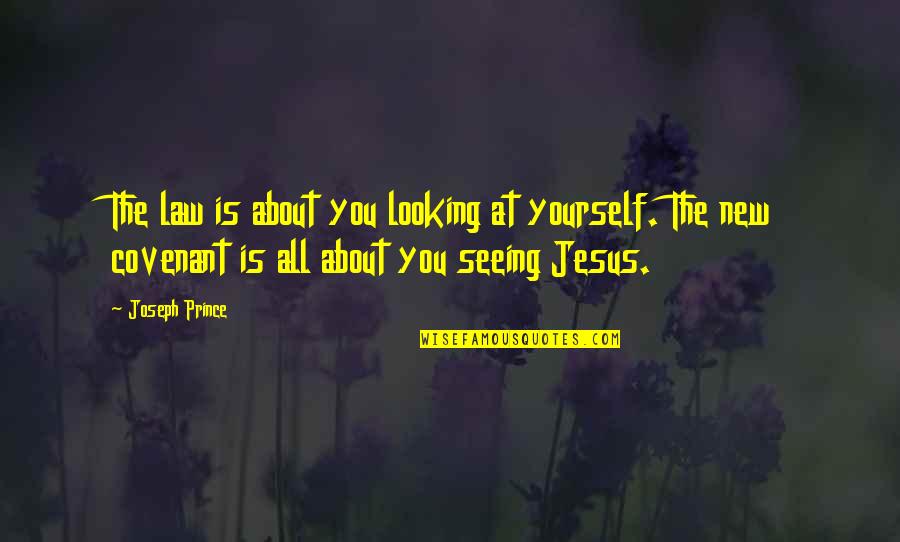 New Jesus Quotes By Joseph Prince: The law is about you looking at yourself.