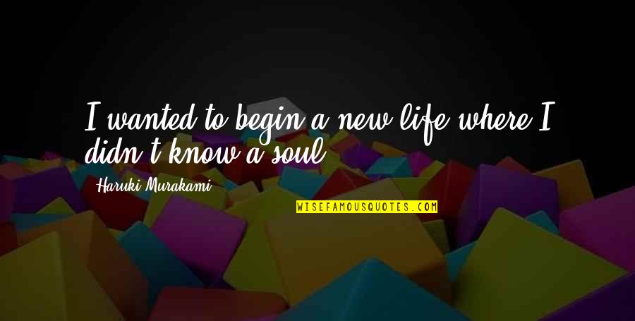 New Life Begin Quotes By Haruki Murakami: I wanted to begin a new life where