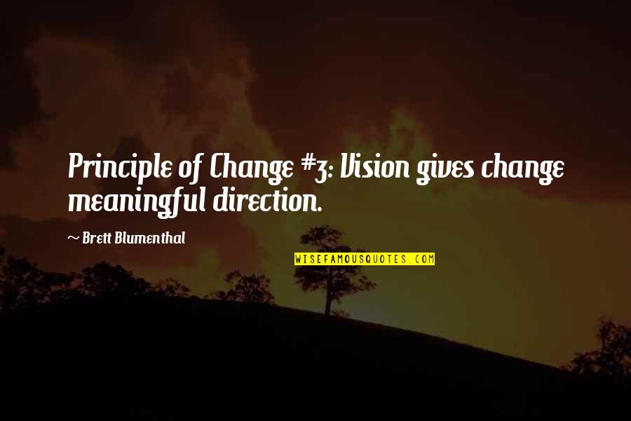 New You Quotes By Brett Blumenthal: Principle of Change #3: Vision gives change meaningful