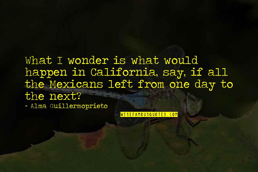 Next Day Quotes By Alma Guillermoprieto: What I wonder is what would happen in