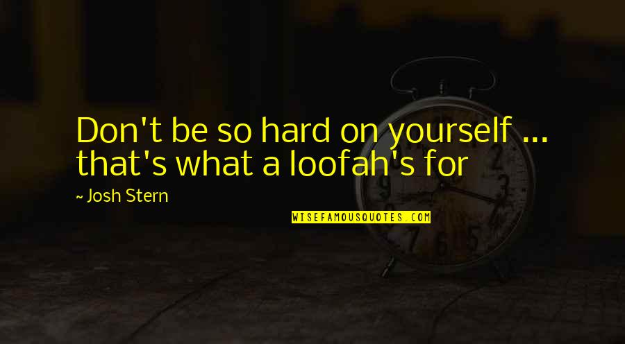 Neylon Excavating Quotes By Josh Stern: Don't be so hard on yourself ... that's