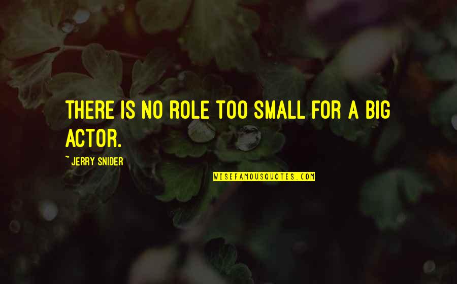 Nicatributos Quotes By Jerry Snider: There is no role too small for a