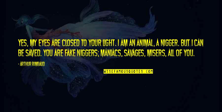 Nigger Quotes By Arthur Rimbaud: Yes, my eyes are closed to your light.