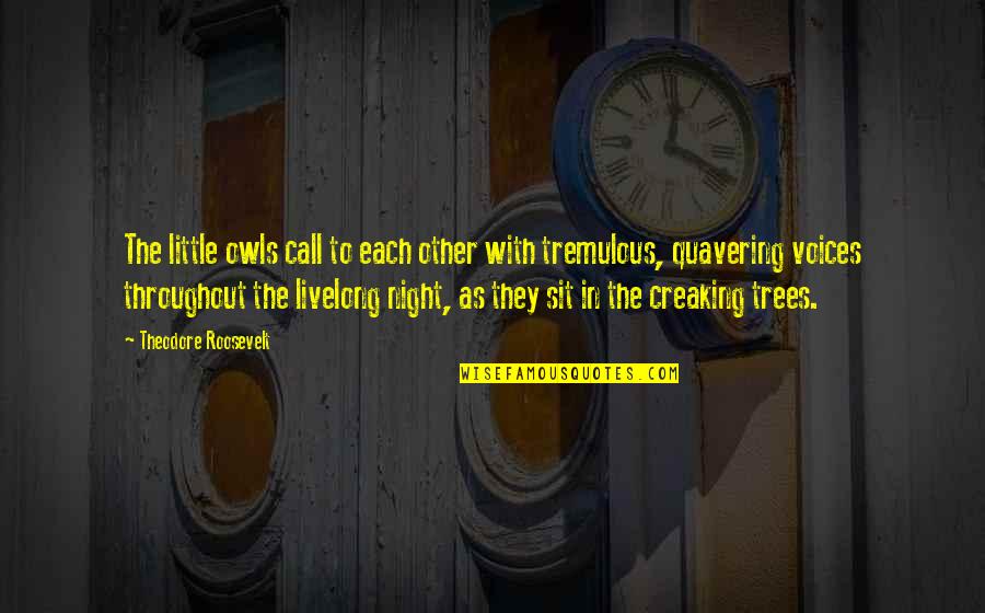 Night Call Quotes By Theodore Roosevelt: The little owls call to each other with