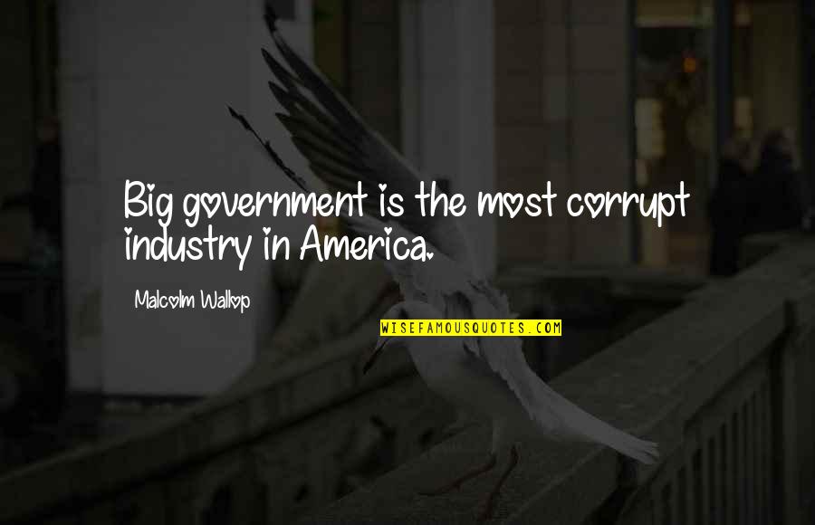 Night Elf Quotes By Malcolm Wallop: Big government is the most corrupt industry in