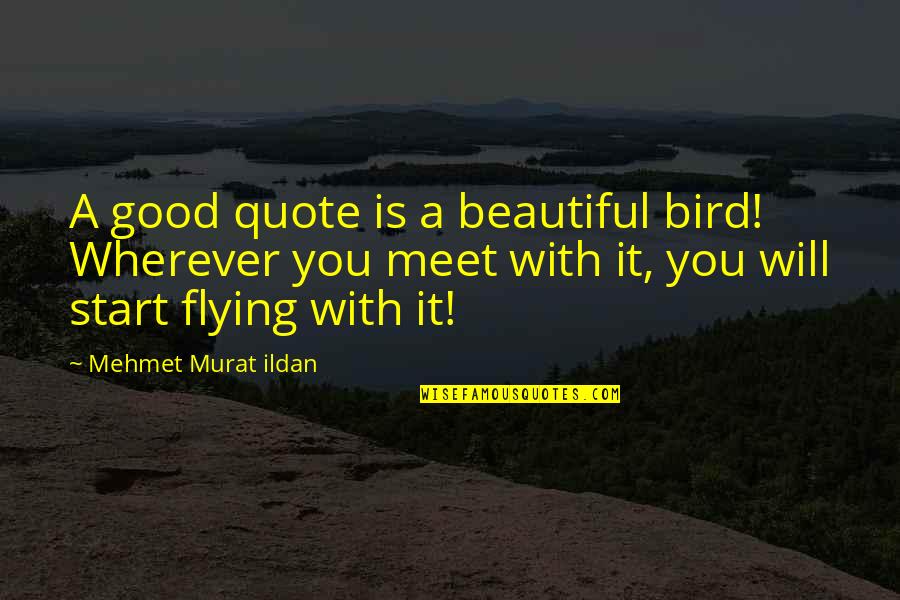 Nightness Quotes By Mehmet Murat Ildan: A good quote is a beautiful bird! Wherever