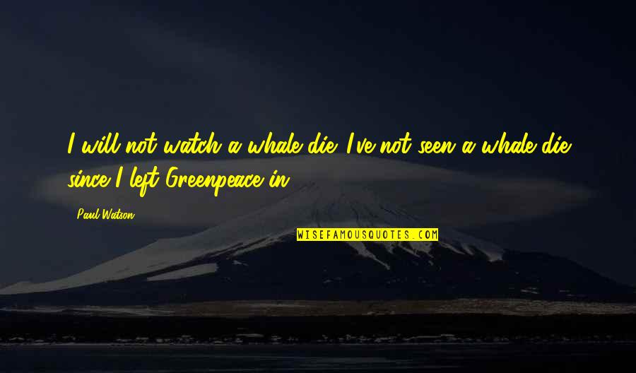 Nightwatchman Netflix Quotes By Paul Watson: I will not watch a whale die. I've