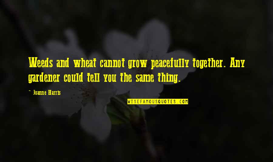 Nihilist Sub Quotes By Joanne Harris: Weeds and wheat cannot grow peacefully together. Any