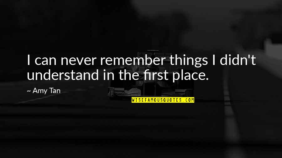 Nimbys Are The Worst Quotes By Amy Tan: I can never remember things I didn't understand