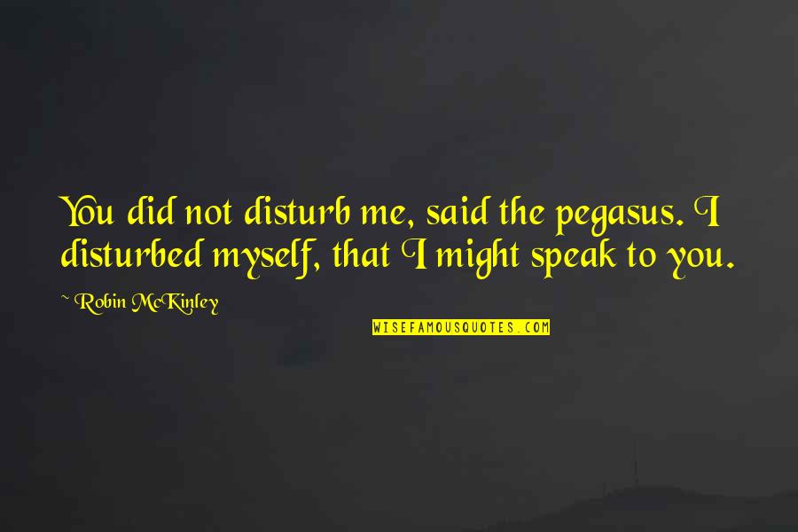 Nimic Quotes By Robin McKinley: You did not disturb me, said the pegasus.