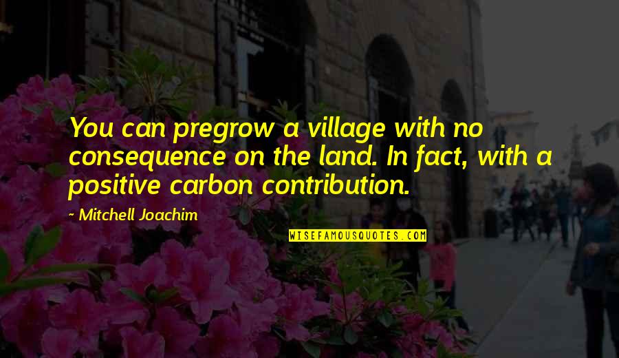 No Consequence Quotes By Mitchell Joachim: You can pregrow a village with no consequence