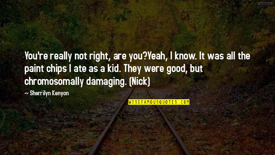 No Good Nick Quotes By Sherrilyn Kenyon: You're really not right, are you?Yeah, I know.