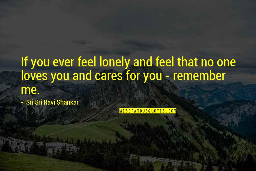 No One Care Me Quotes By Sri Sri Ravi Shankar: If you ever feel lonely and feel that