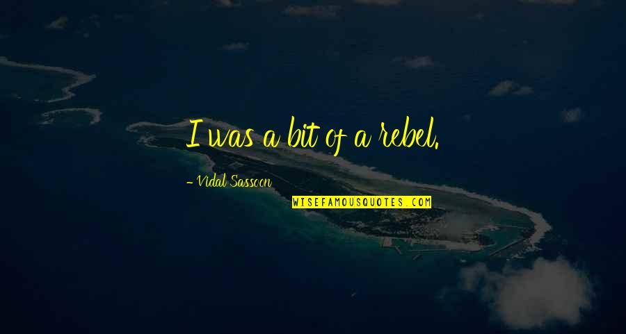 No Place Like Oz Quotes By Vidal Sassoon: I was a bit of a rebel.