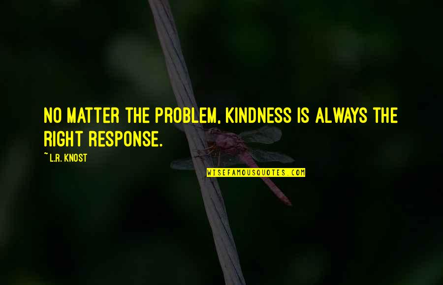 No Response Quotes By L.R. Knost: No matter the problem, kindness is always the