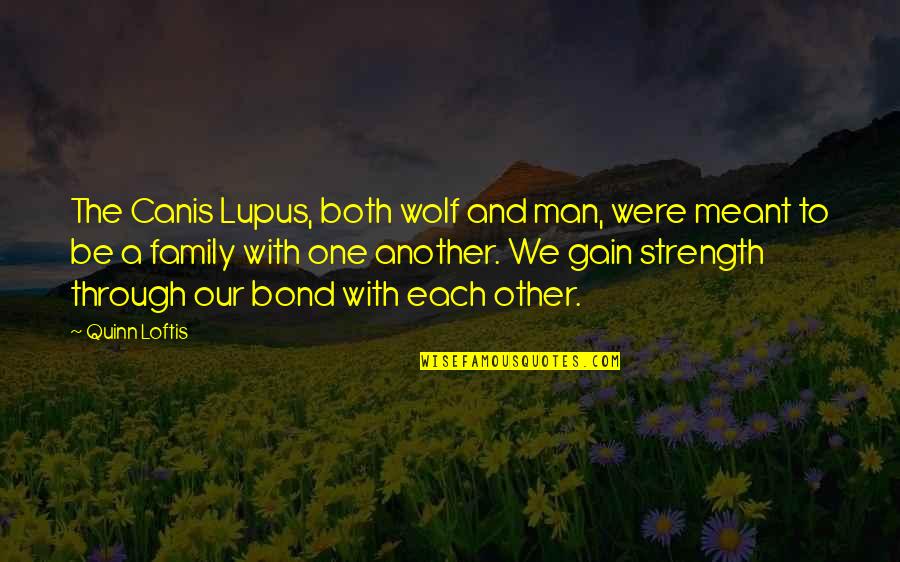 Noah From The Notebook Quotes By Quinn Loftis: The Canis Lupus, both wolf and man, were