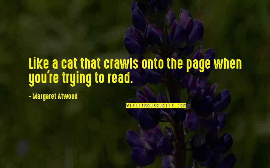 Noapte De Iarna Quotes By Margaret Atwood: Like a cat that crawls onto the page