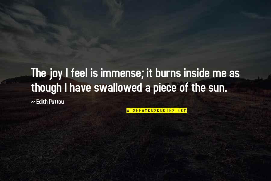 Nobilitate Quotes By Edith Pattou: The joy I feel is immense; it burns