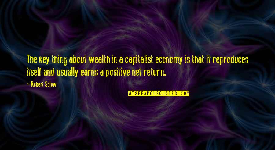 Nobody Can Compares To You Quotes By Robert Solow: The key thing about wealth in a capitalist