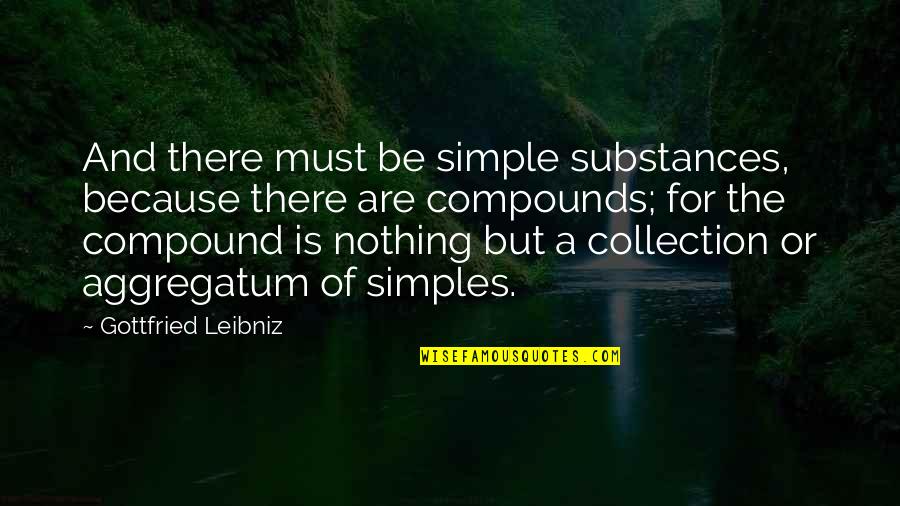 Nobuchika Okada Quotes By Gottfried Leibniz: And there must be simple substances, because there