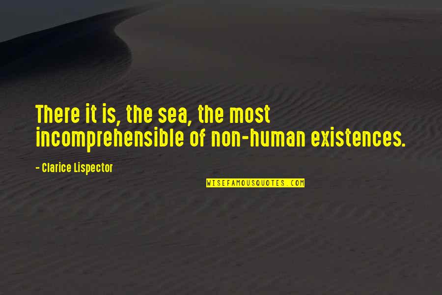 Non Human Quotes By Clarice Lispector: There it is, the sea, the most incomprehensible