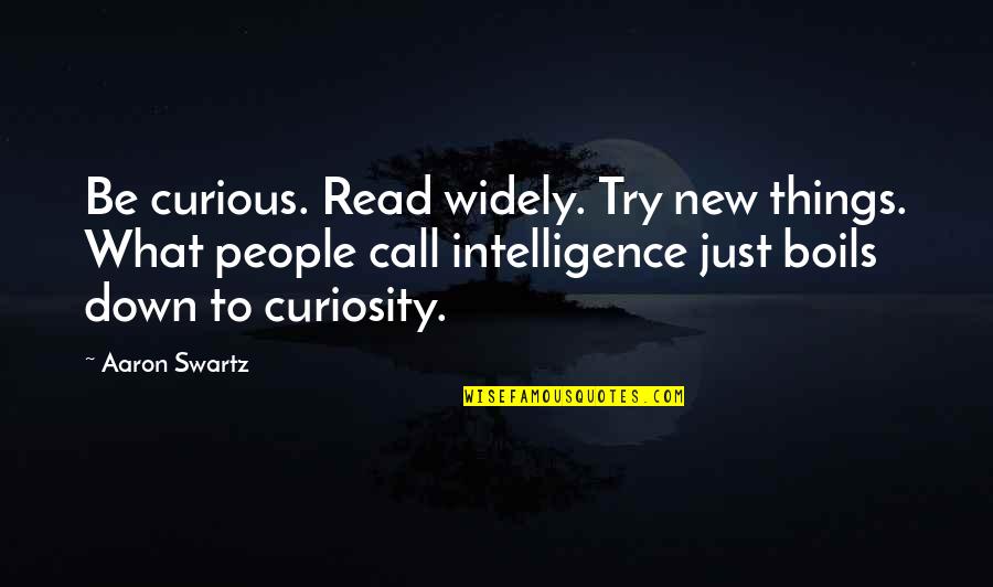 Not Reading Into Things Quotes By Aaron Swartz: Be curious. Read widely. Try new things. What