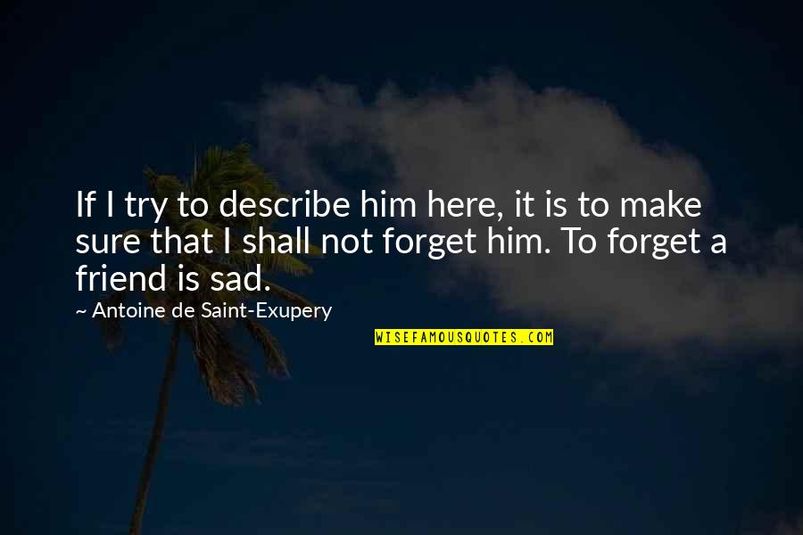 Not Sure If Quotes By Antoine De Saint-Exupery: If I try to describe him here, it