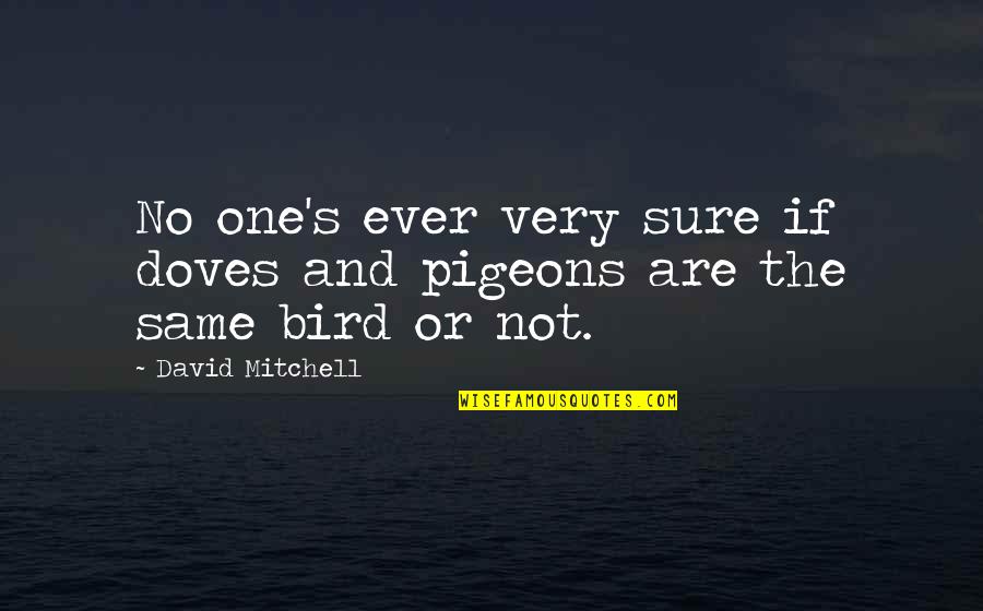 Not Sure If Quotes By David Mitchell: No one's ever very sure if doves and