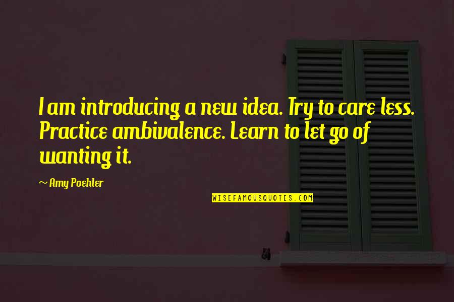 Not Wanting To Let You Go Quotes By Amy Poehler: I am introducing a new idea. Try to