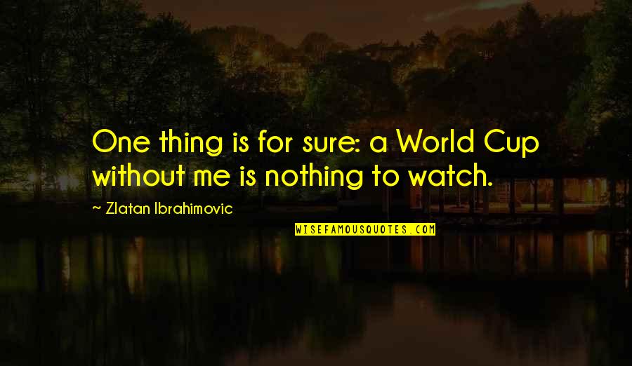 Nothing Is Sure Quotes By Zlatan Ibrahimovic: One thing is for sure: a World Cup