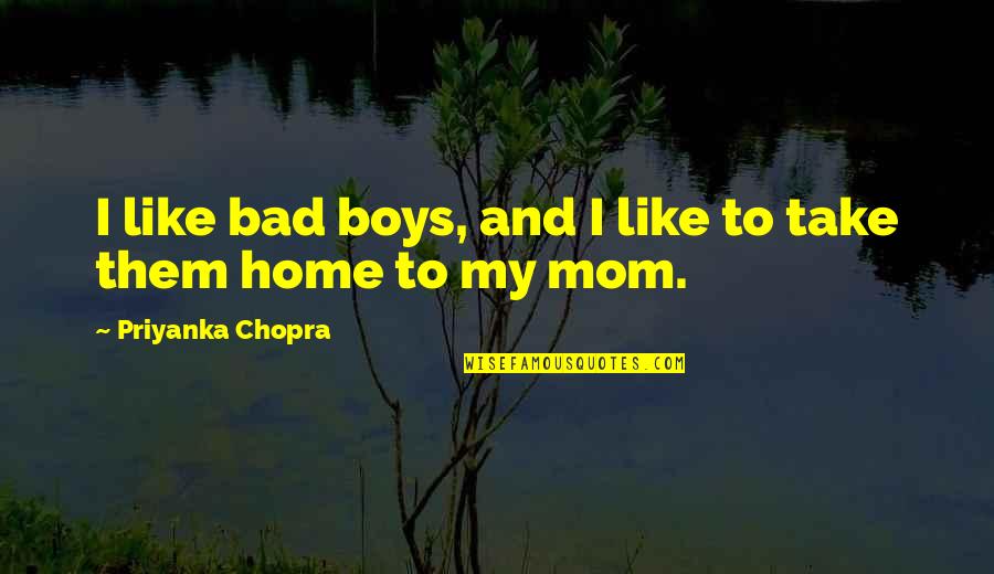 Novel That Described Quotes By Priyanka Chopra: I like bad boys, and I like to