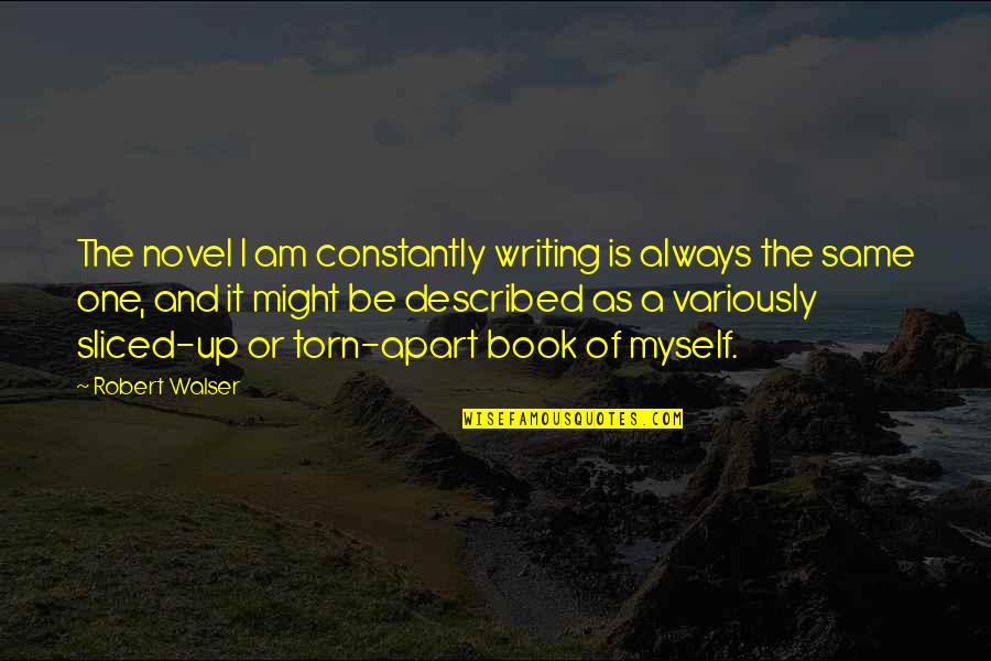 Novel That Described Quotes By Robert Walser: The novel I am constantly writing is always