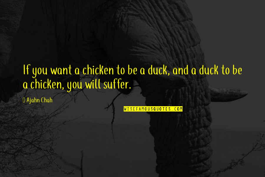 Noviana Quotes By Ajahn Chah: If you want a chicken to be a