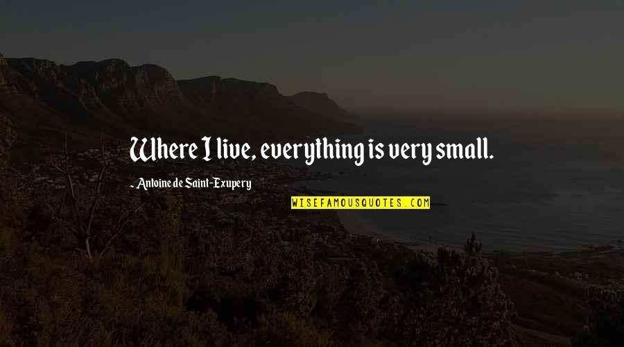 Noyori Reduction Quotes By Antoine De Saint-Exupery: Where I live, everything is very small.